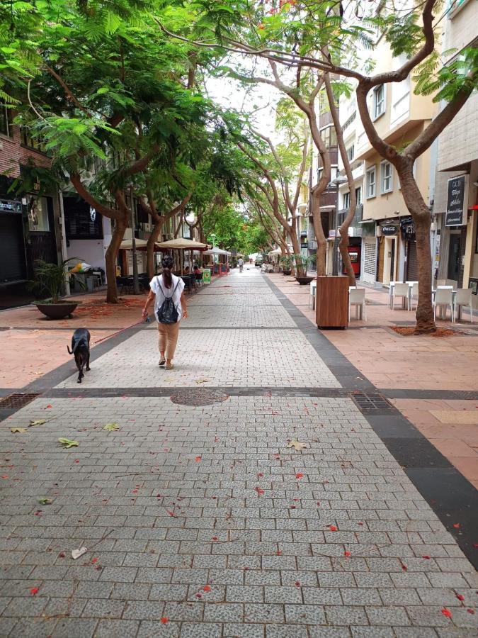 Center Santa Cruz, Alojamiento Centrico Con Gran Terraza, Cocina , Salon Y Banos, Todo Privado Екстериор снимка