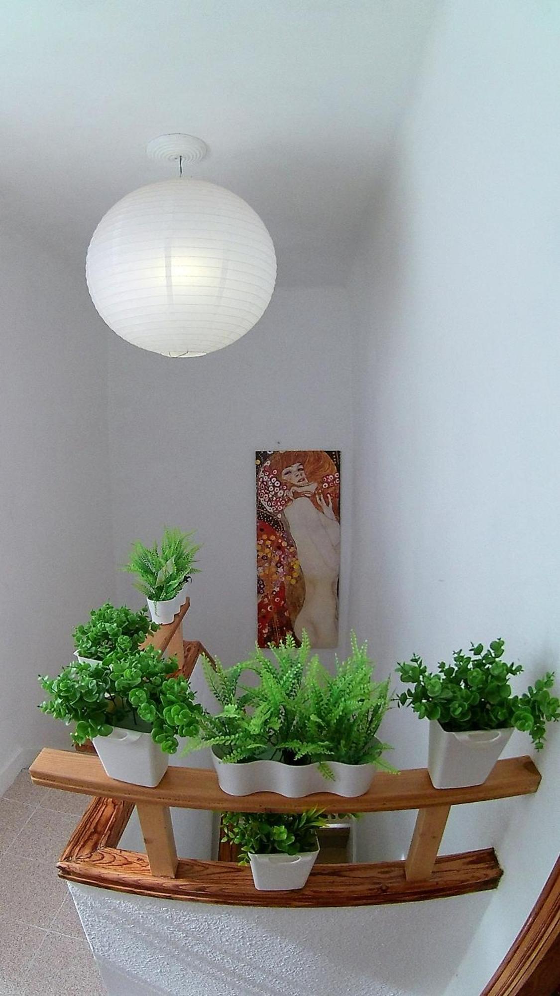 Center Santa Cruz, Alojamiento Centrico Con Gran Terraza, Cocina , Salon Y Banos, Todo Privado Екстериор снимка